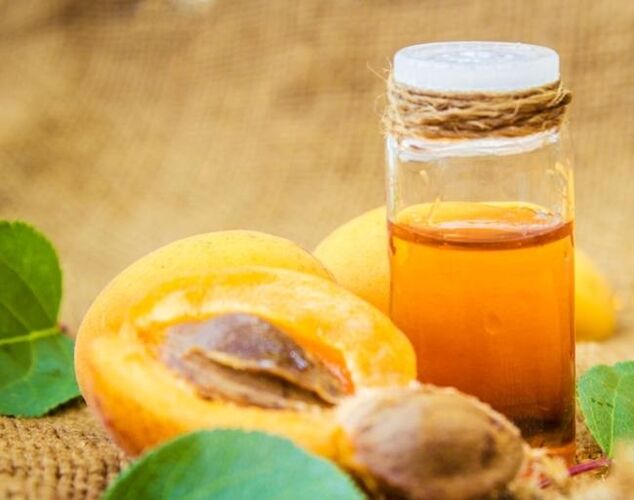 minyak aprikot untuk peremajaan kulit